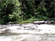 BullSluice 11